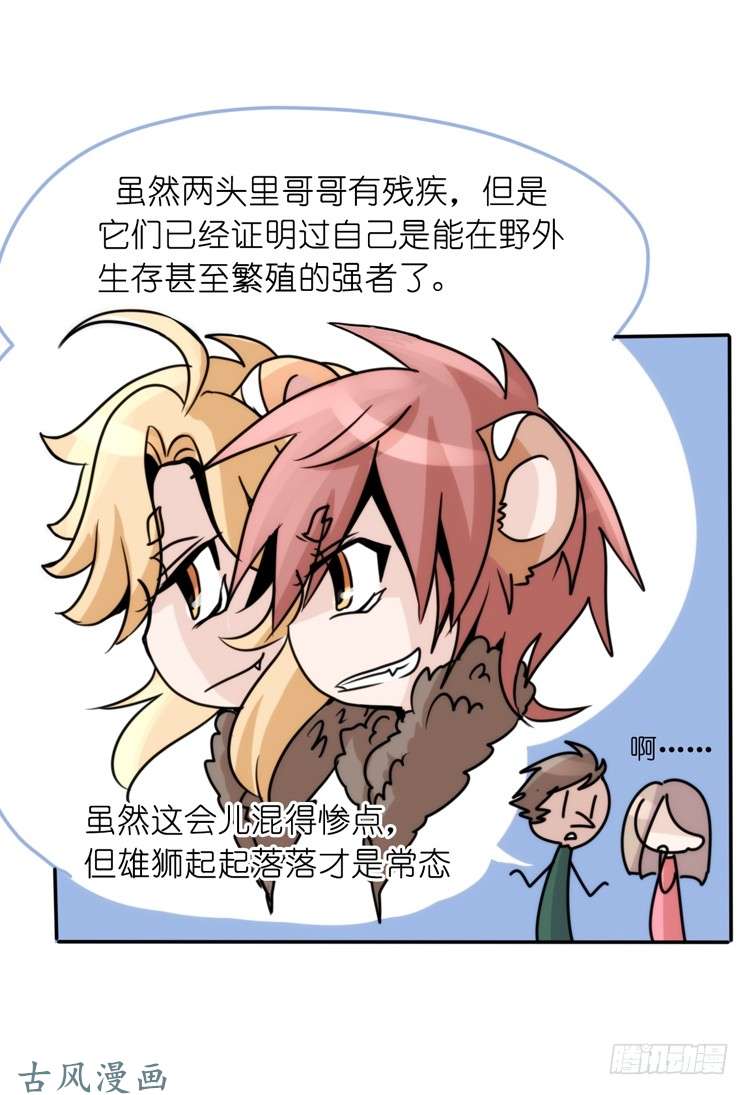 进化之基是这样的狮JI王？！-21