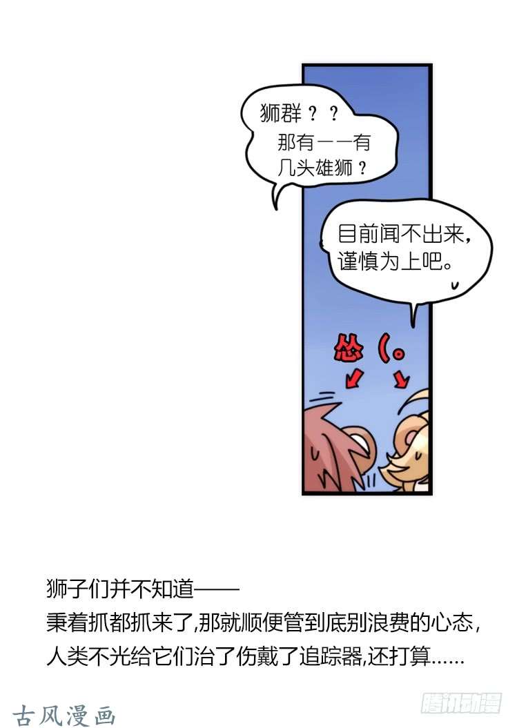进化之基是这样的狮JI王？！-22