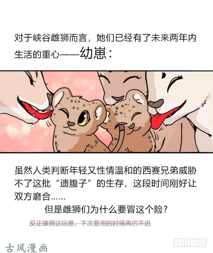 进化之基是这样的狮JI王？！-22