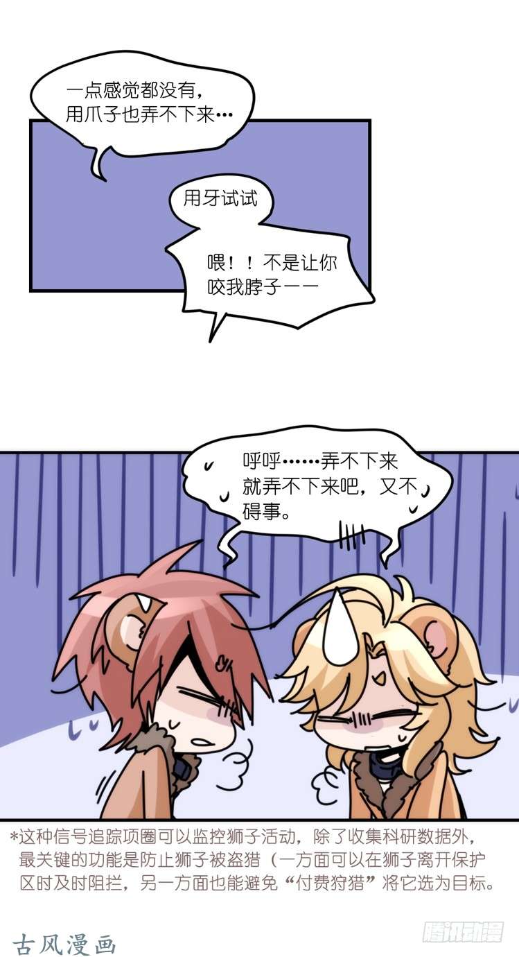 进化之基是这样的狮JI王？！-22