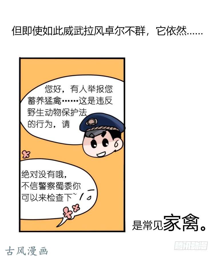 进化之基是这样的狮JI王？！-24