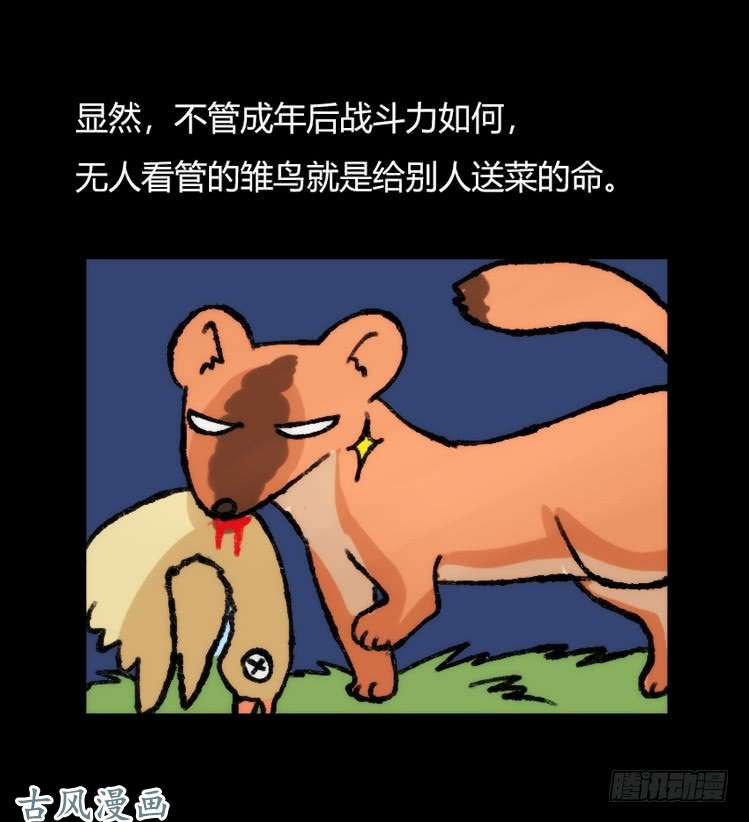 进化之基家有鹅霸：鹅霸是怎么练成的