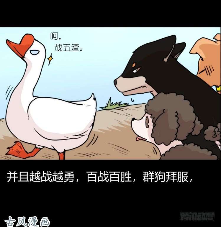 进化之基家有鹅霸：鹅霸是怎么练成的