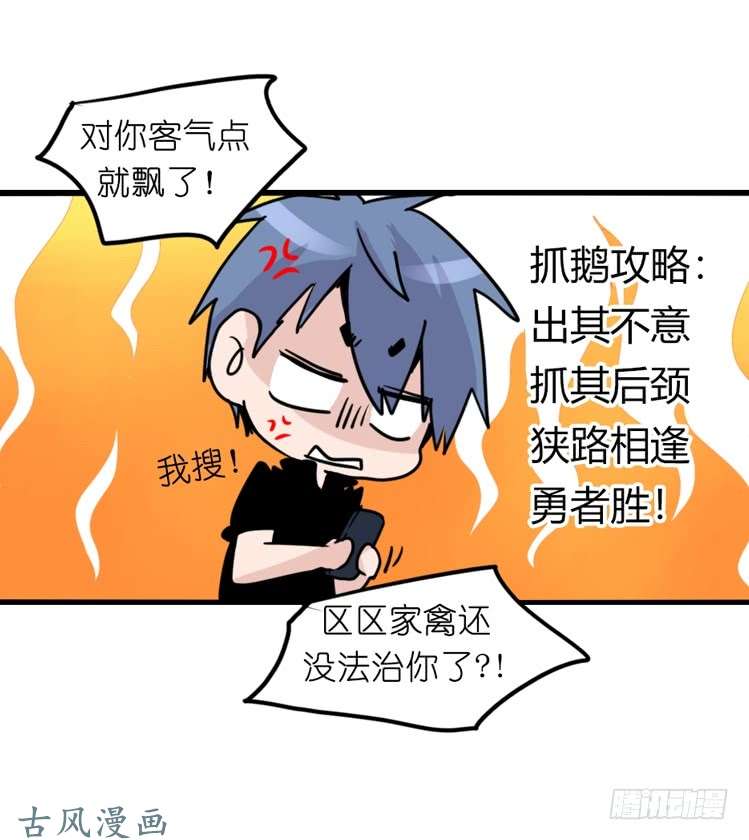 进化之基家有鹅霸：鹅霸是怎么练成的