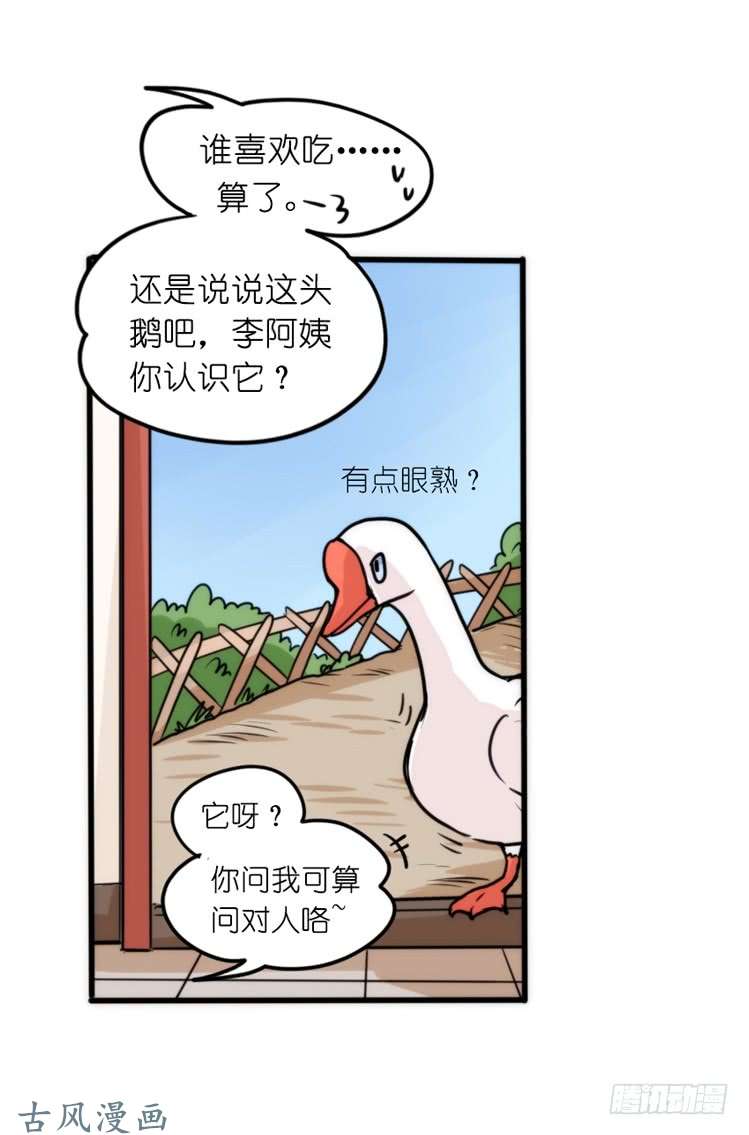 进化之基家有鹅霸：鹅霸是怎么练成的