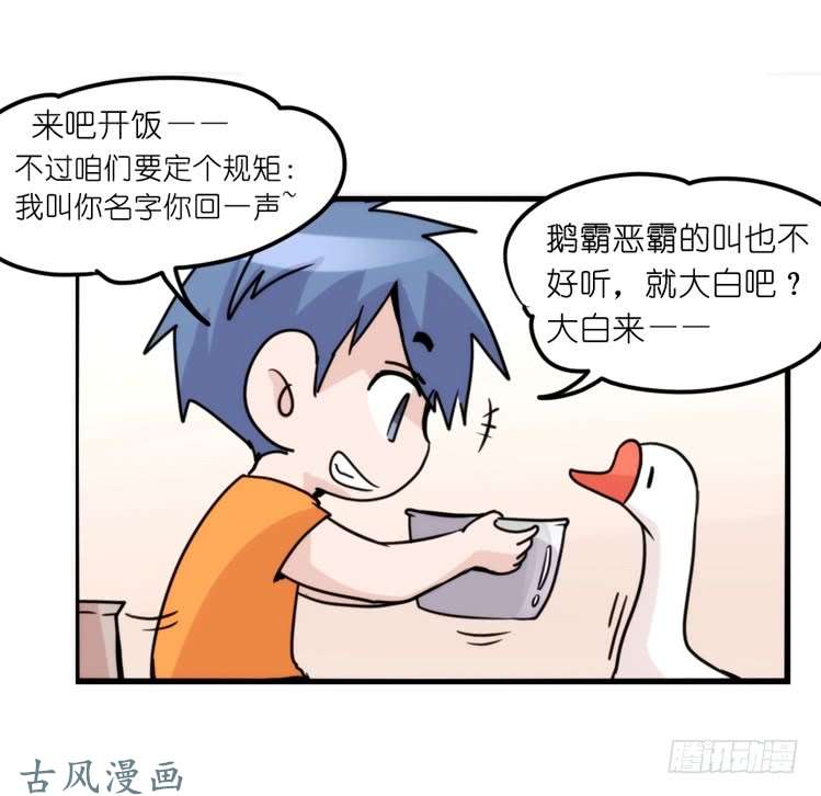进化之基家有鹅霸：就是这样的霸霸！