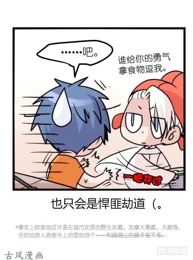 进化之基家有鹅霸：就是这样的霸霸！