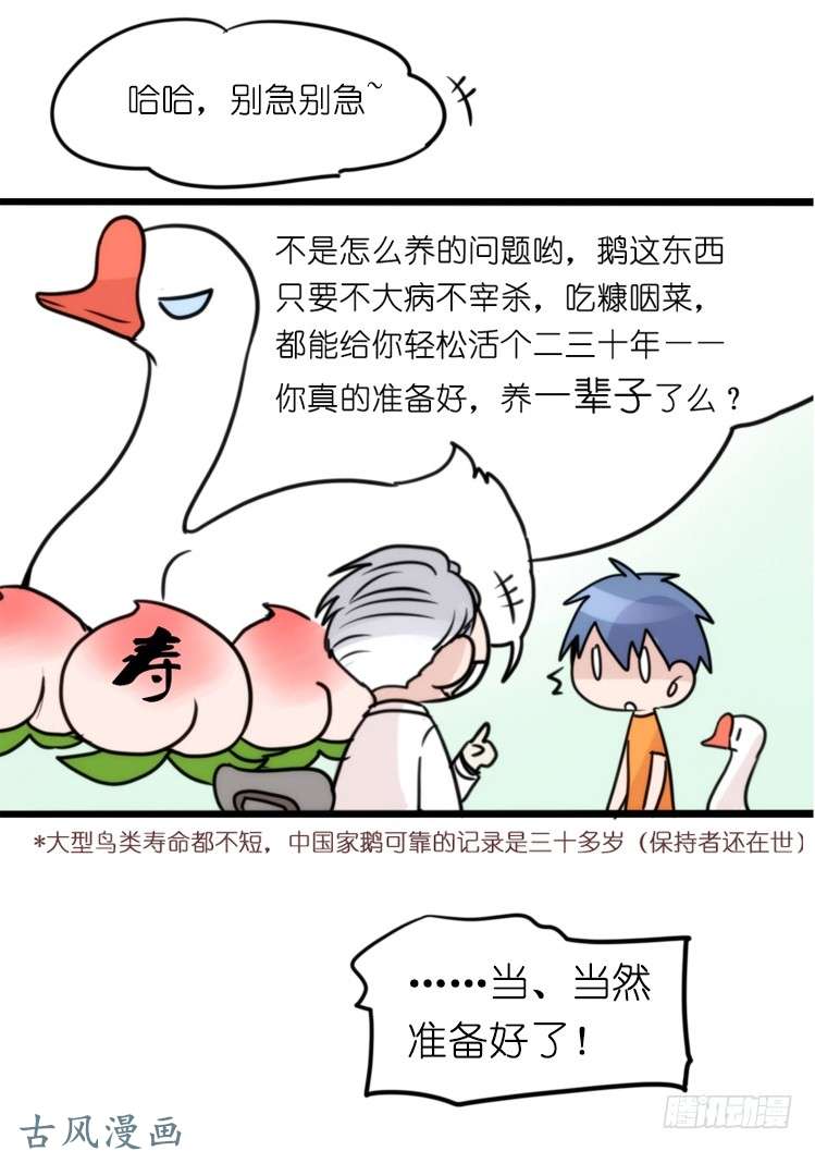 进化之基家有鹅霸：就是这样的霸霸！