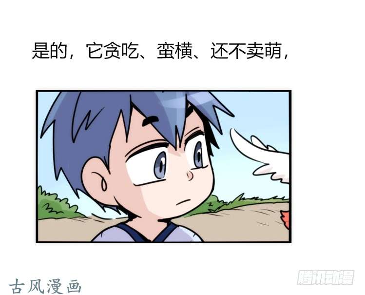 进化之基家有鹅霸：就是这样的霸霸！