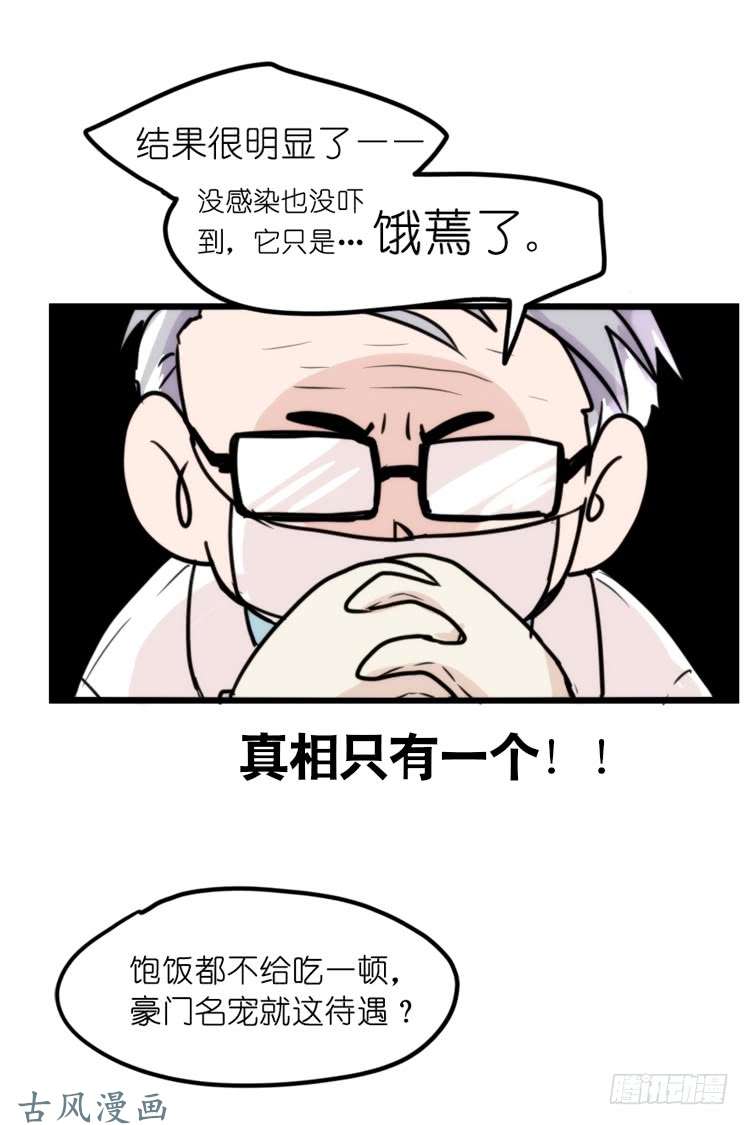 进化之基家有鹅霸：就是这样的霸霸！