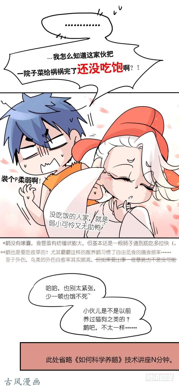 进化之基家有鹅霸：就是这样的霸霸！