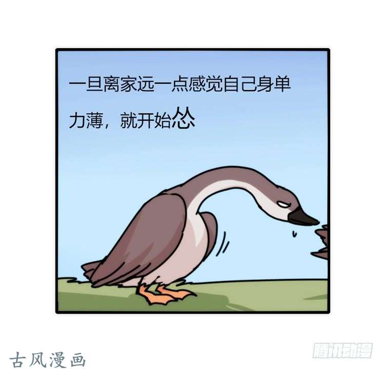进化之基家有鹅霸：人假鹅威是种什么体验