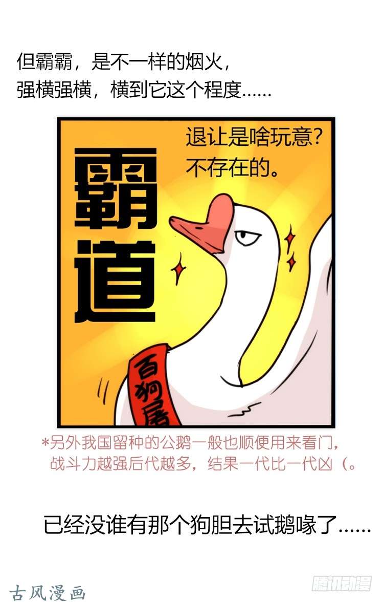 进化之基家有鹅霸：人假鹅威是种什么体验