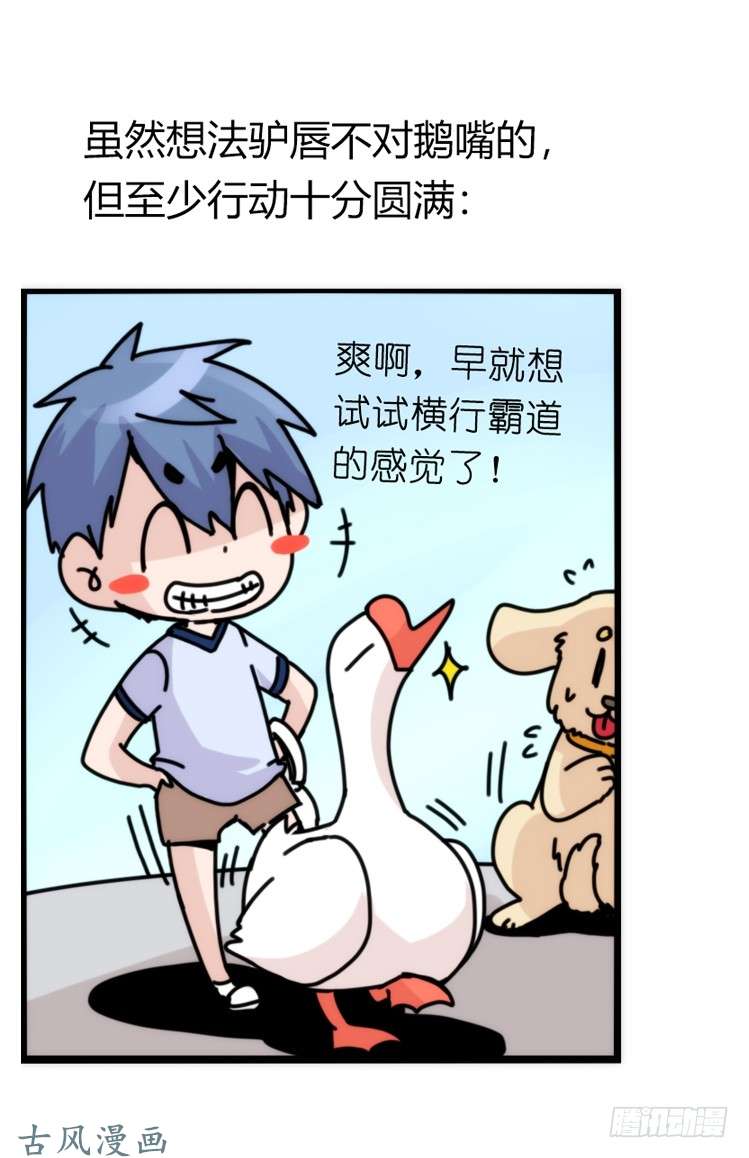 进化之基家有鹅霸：人假鹅威是种什么体验