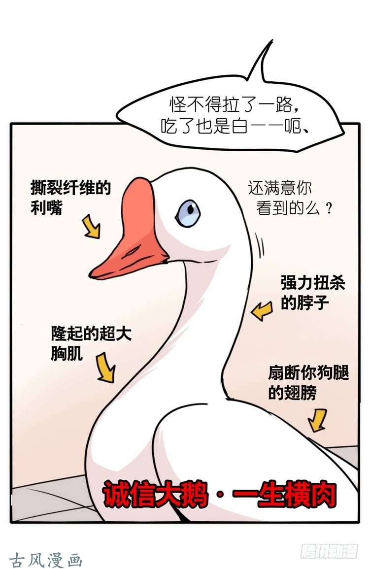 进化之基家有鹅霸：人假鹅威是种什么体验