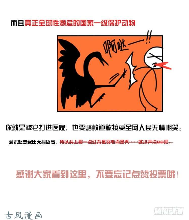 进化之基家有鹅霸：人假鹅威是种什么体验