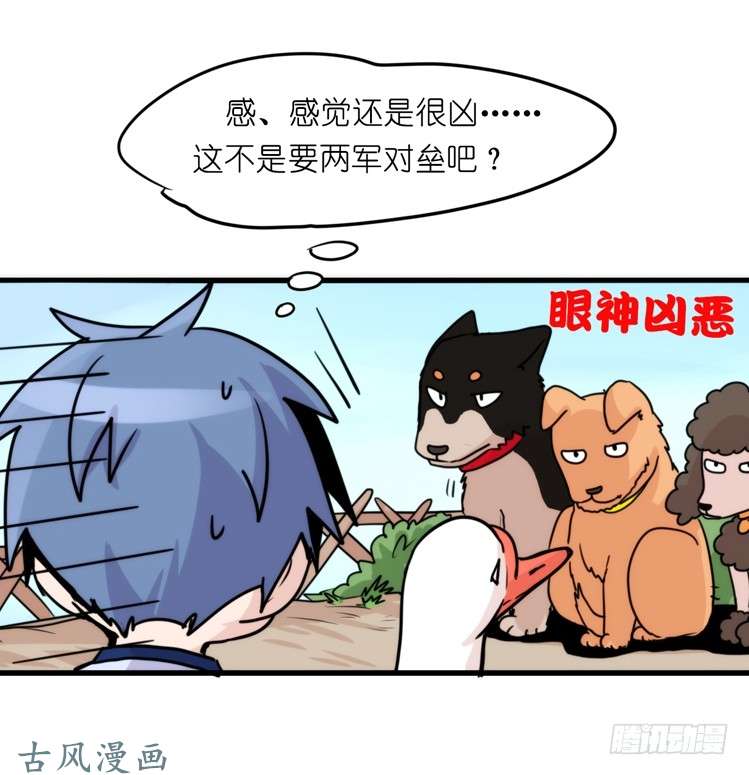 进化之基家有鹅霸：人假鹅威是种什么体验