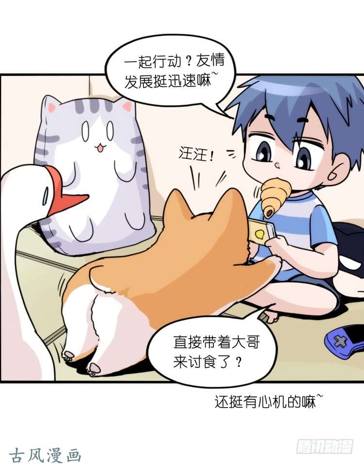 进化之基家有鹅霸：万事开头难
