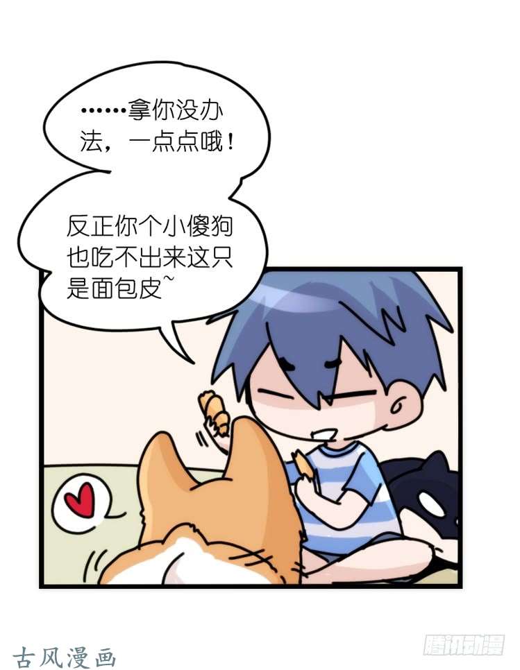 进化之基家有鹅霸：万事开头难