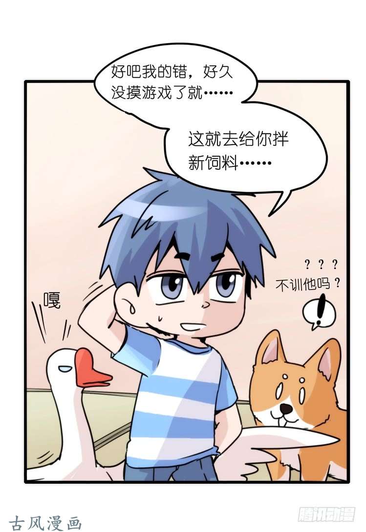 进化之基家有鹅霸：万事开头难