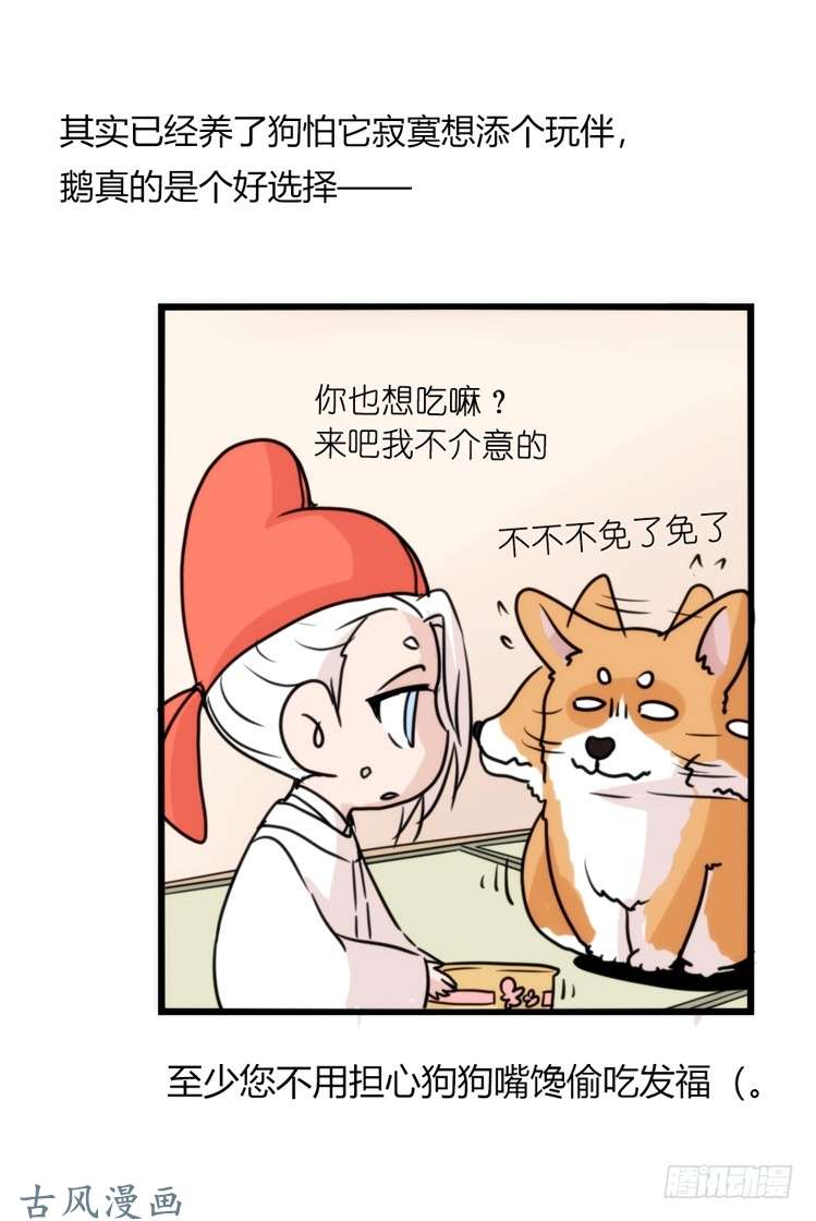 进化之基家有鹅霸：万事开头难