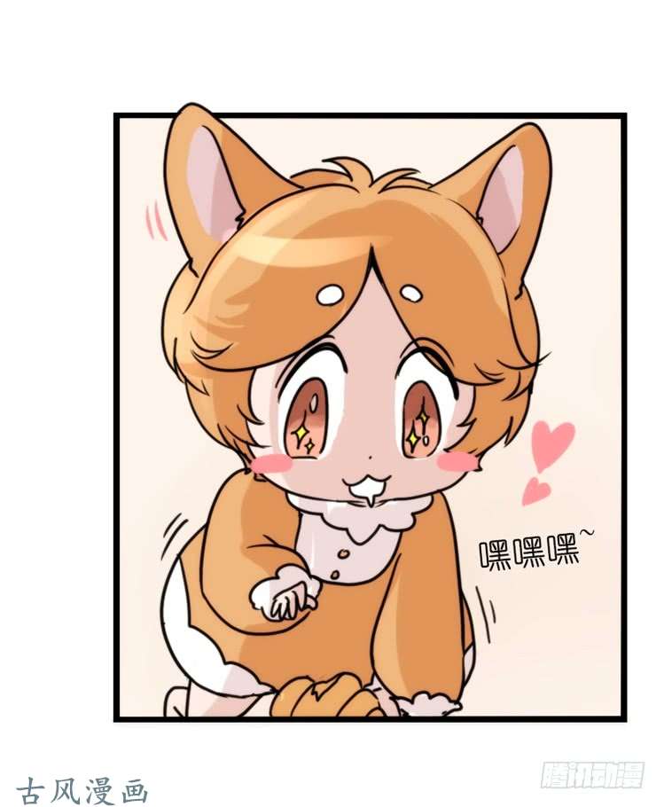 进化之基家有鹅霸：万事开头难