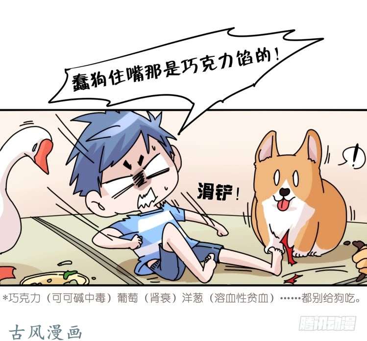 进化之基家有鹅霸：万事开头难