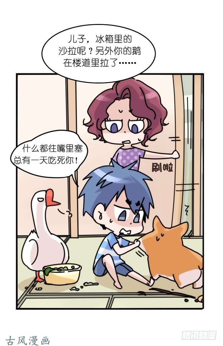 进化之基家有鹅霸：万事开头难