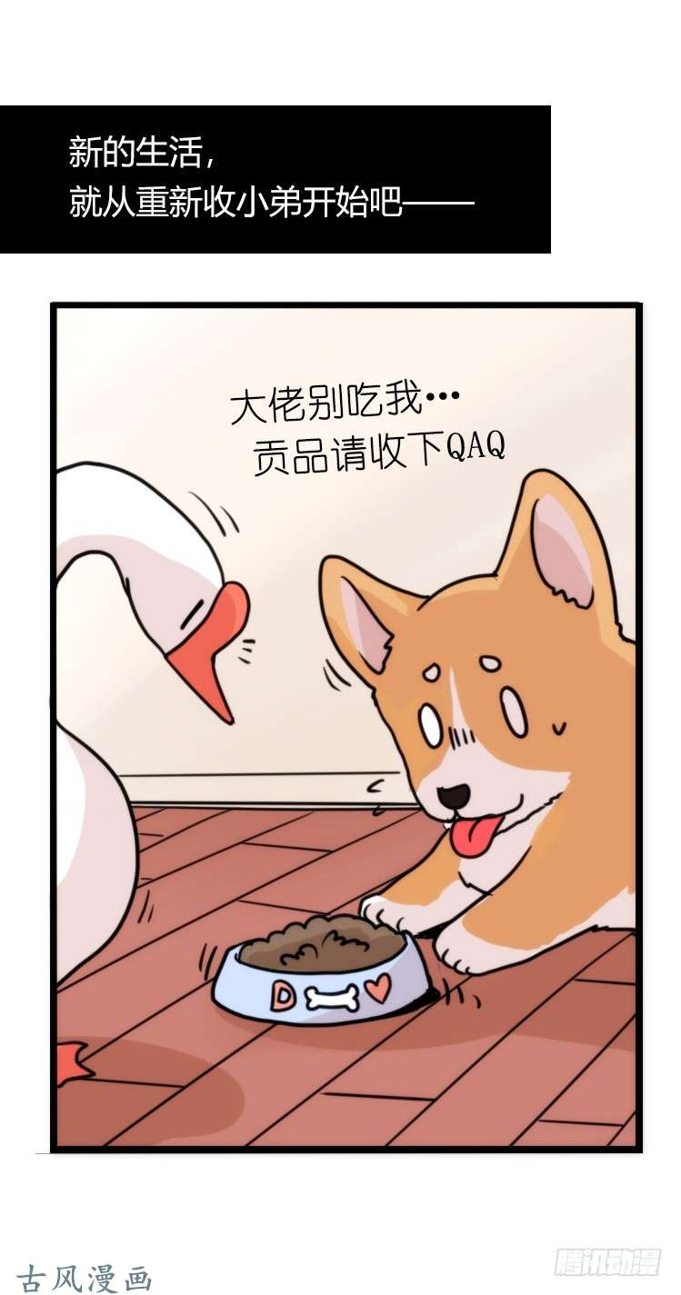 进化之基家有鹅霸：万事开头难