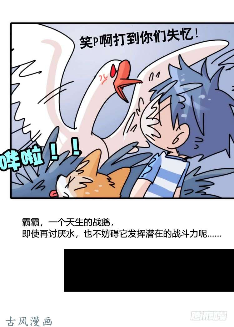 进化之基家有鹅霸：意想不到的弱点？