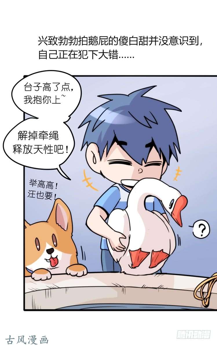 进化之基家有鹅霸：意想不到的弱点？