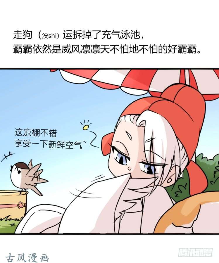 进化之基家有鹅霸：带着大鹅上学去~