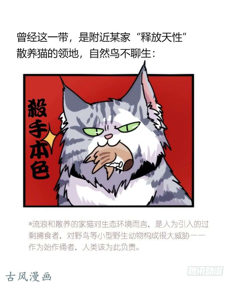 进化之基家有鹅霸：带着大鹅上学去~
