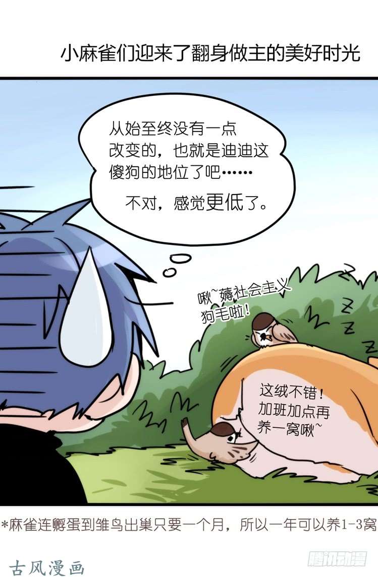 进化之基家有鹅霸：带着大鹅上学去~