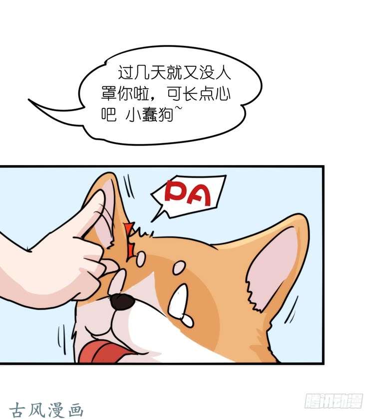 进化之基家有鹅霸：带着大鹅上学去~