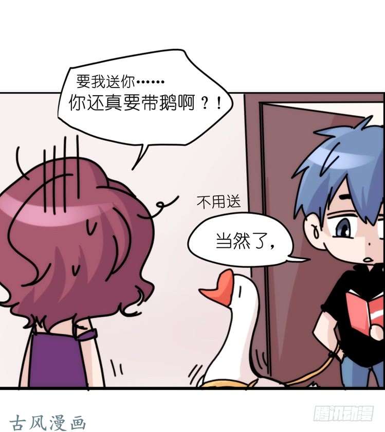 进化之基家有鹅霸：带着大鹅上学去~