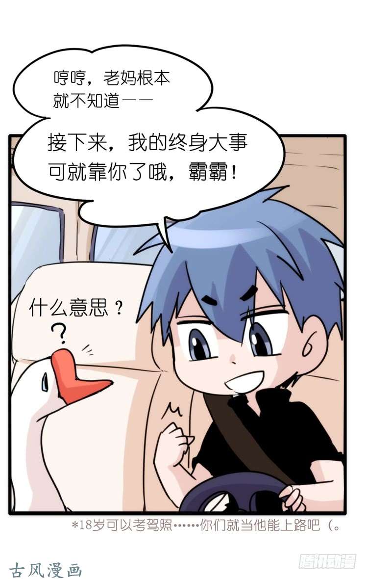 进化之基家有鹅霸：带着大鹅上学去~
