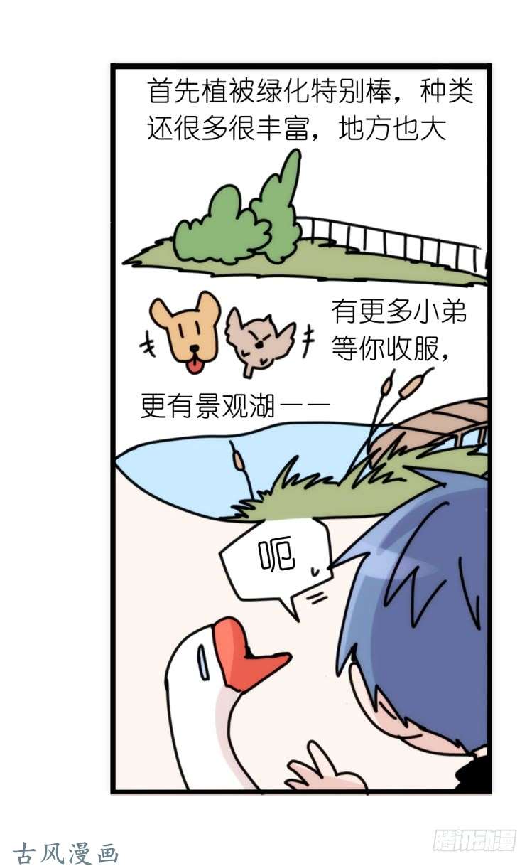 进化之基家有鹅霸：带着大鹅上学去~