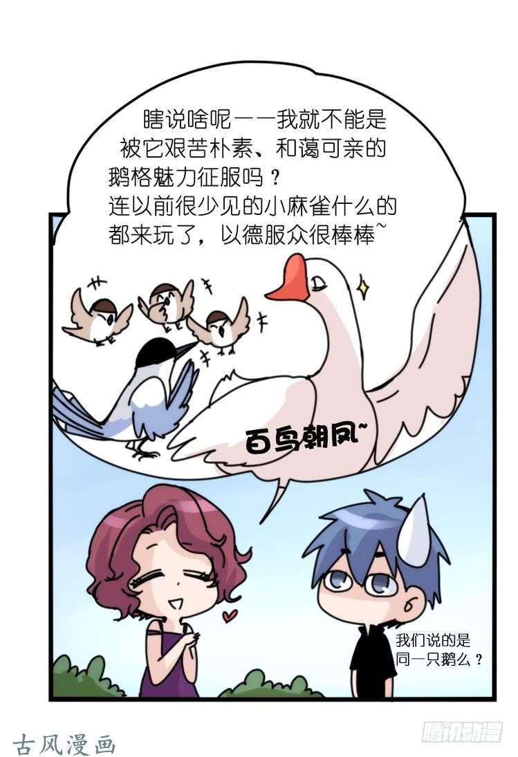 进化之基家有鹅霸：带着大鹅上学去~