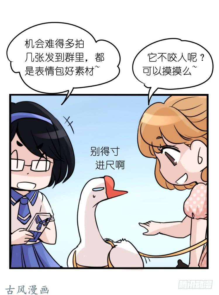 进化之基家有鹅霸：和说好的不一样啊！？