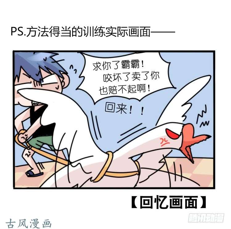 进化之基家有鹅霸：和说好的不一样啊！？