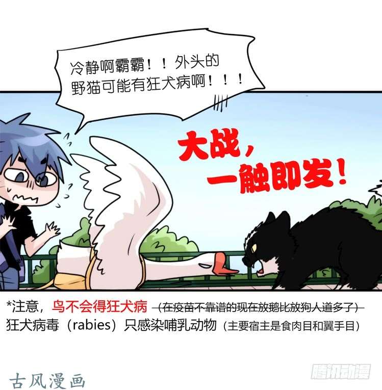 进化之基家有鹅霸：和说好的不一样啊！？