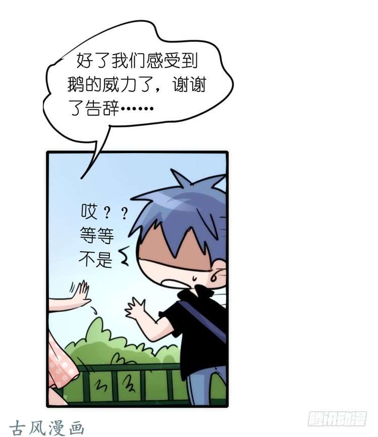 进化之基家有鹅霸：和说好的不一样啊！？
