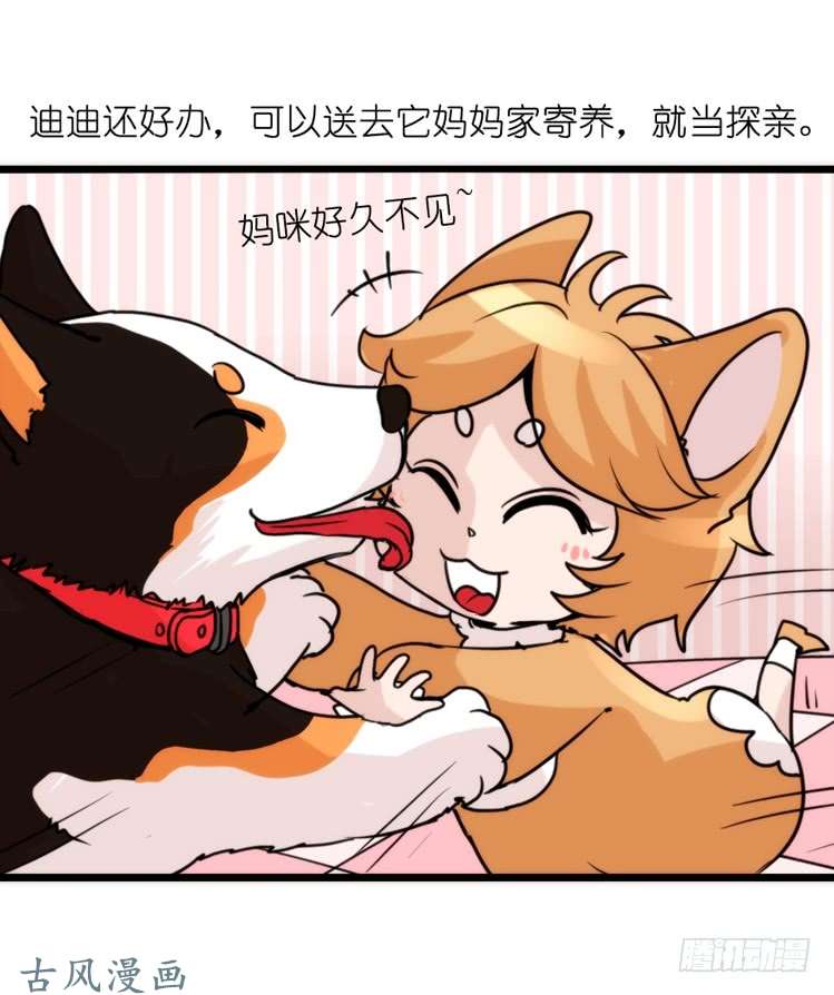 进化之基家有鹅霸：加入的理由