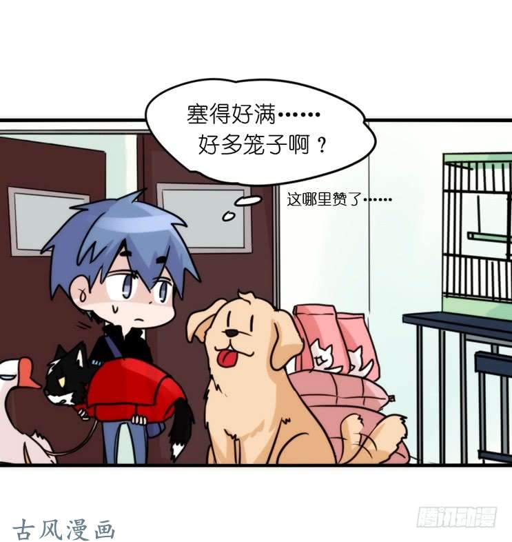 进化之基家有鹅霸：加入的理由