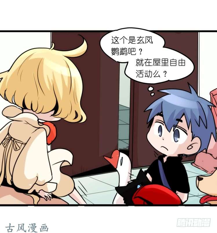 进化之基家有鹅霸：加入的理由