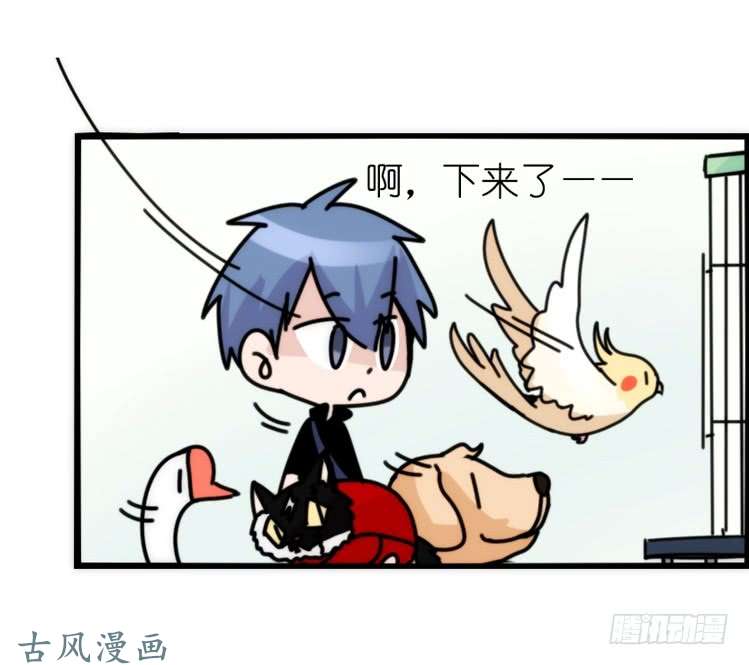 进化之基家有鹅霸：加入的理由