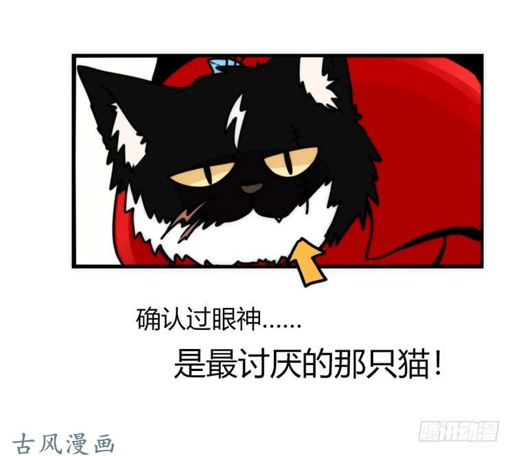 进化之基家有鹅霸：加入的理由
