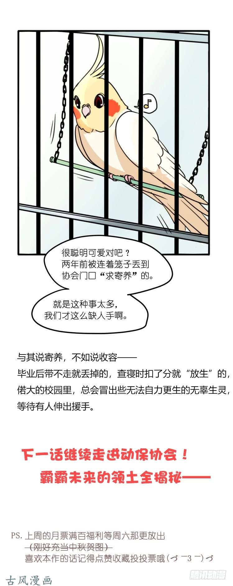进化之基家有鹅霸：加入的理由