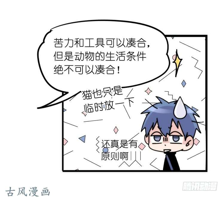 进化之基家有鹅霸：真霸霸，先包个塘